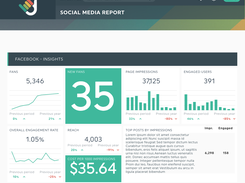 Social media report template