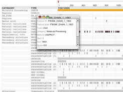 BRCA1_HUMAN with feature detail