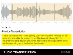 Audio transcription