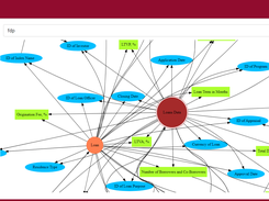 Graph based data querying