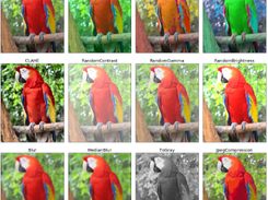 Data augmentation Screenshot 1