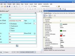 Sample Object Editor Control (Details View) 