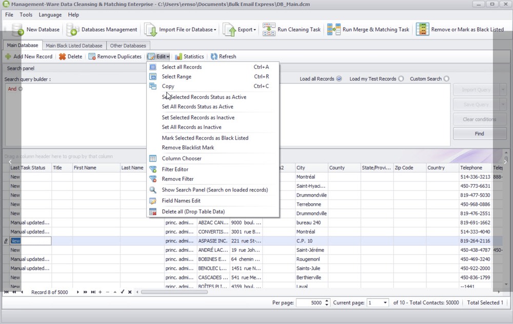 Data Cleansing & Matching Screenshot 1