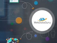 WebDataGuru Screenshot 2