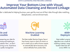 Data Ladder Screenshot 1