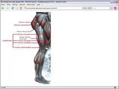 Show an image