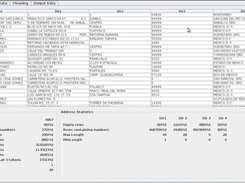 Project: Java Data Cleaning Demo