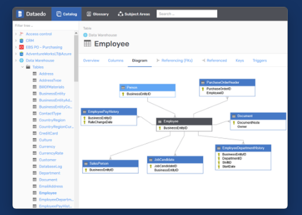 Dataedo Screenshot 1