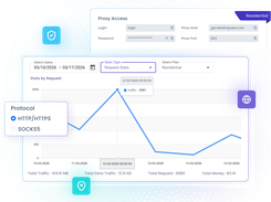 DataImpulse dashboard showing proxy access details, protocol selection, and request/traffic statistics
