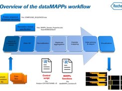 Schematic representation of workflow