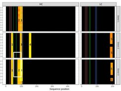 Typical heatMAPPs output, marking DC presented MHC epitopes on a target antibodies's sequence