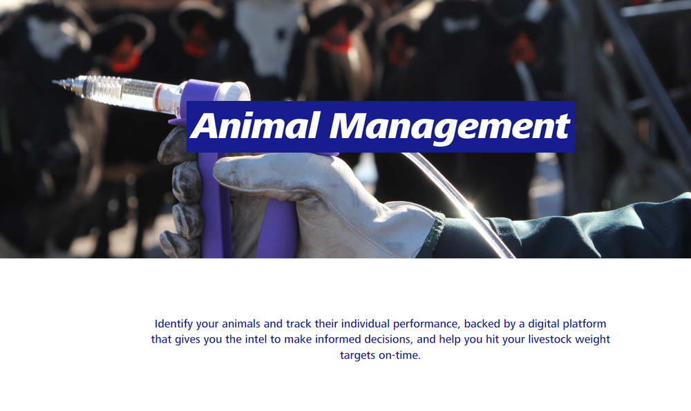 Datamars Livestock Screenshot 1