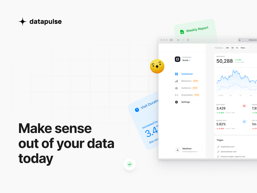 Datapulse - Simple Analytics