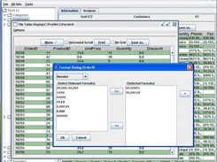 Formatting Panel