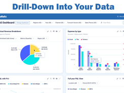 Datarails Screenshot 1