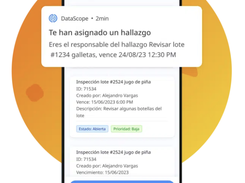 DataScope Screenshot 1
