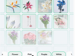 DataSeeds.AI Screenshot 1