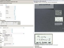 Selecting a label as a region of interest in the web app.