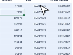 DataSnipper Screenshot 2
