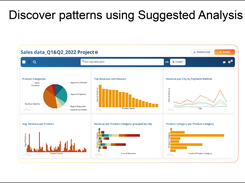 Use DataSquirrel's Auto analysis to uncover patterns in your uploaded data