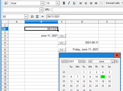 Date Picker Calendar OpenOffice Calc Screenshot 1