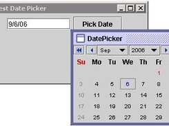 Test Date Picker