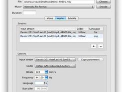 Sample definition of two audio streams in same MKV