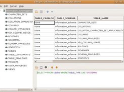 DbEye v0.0.0 browsing MySQL information_schema (Linux/GTK)