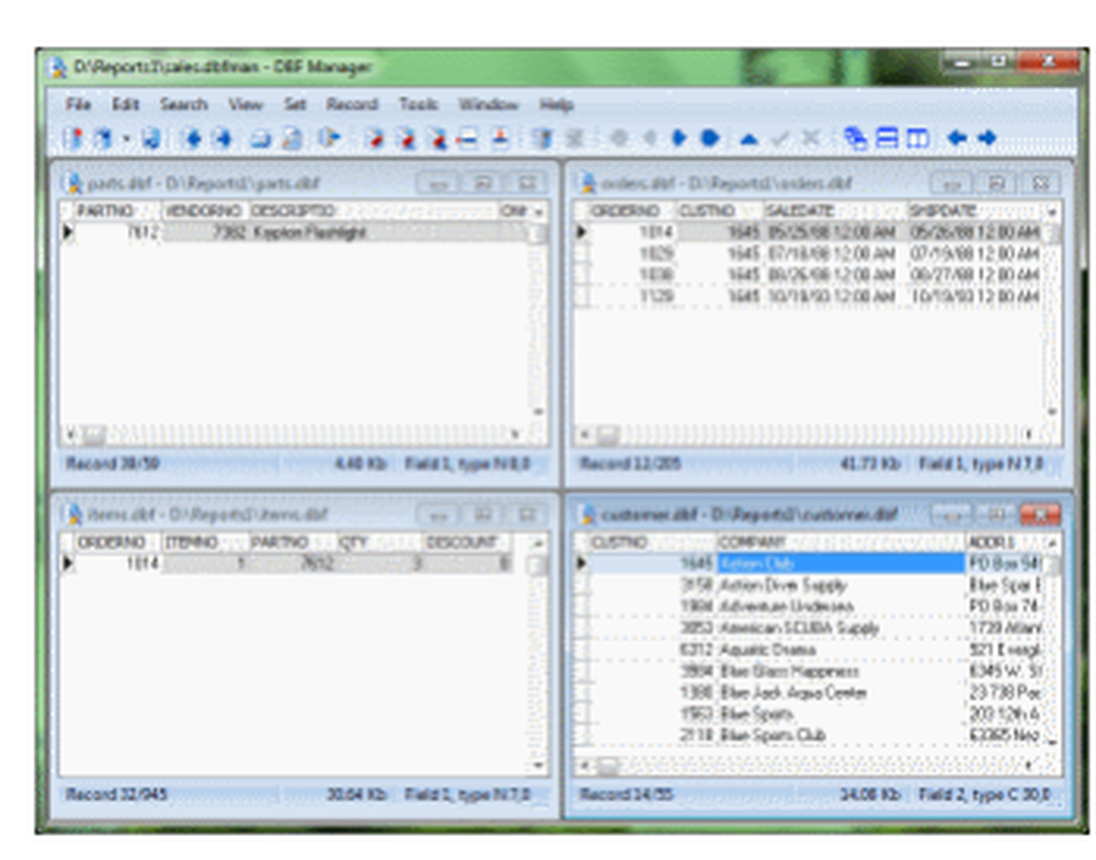 DBF Manager Screenshot 1
