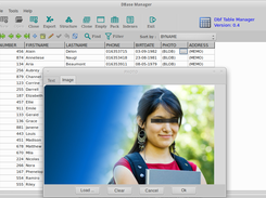 Dbf Table Manager Screenshot 5