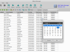 Dbf Table Manager Screenshot 6