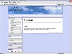 Front-End with the demo website