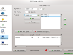 DBRP Settings - DNS IPv4 Services