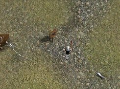 DCdU Screenshot 3