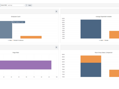 DCI Dashboard for Pay Equity Screenshot 1