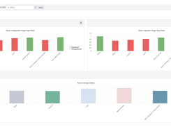 DCI Dashboard for Pay Equity Screenshot 1