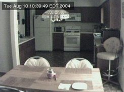Sample date/time stamped image capture