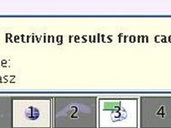 Retrieving results from the cache