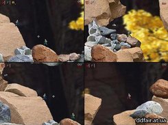 Gameplay