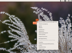 Open file with DEB package installer (Dpki)