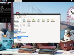 Running from RAM - eject USB stick