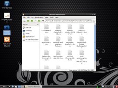 Google Chrome ++Extensions