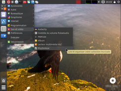 DebLight OS Screenshot 6