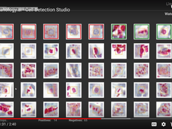 DeePathology STUDIO Screenshot 1