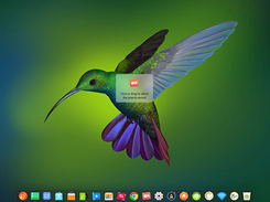 Deepin Screenshot 1