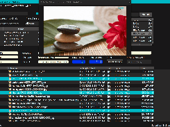 deepsearch5plus 2.0.10 - image viewer