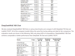 DeepSeek MoE Screenshot 2