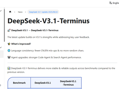 DeepSeek-V3.1-Terminus Screenshot 1