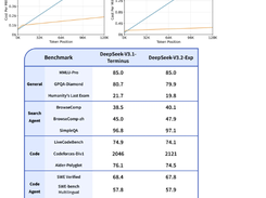 DeepSeek-V3.2-Exp Screenshot 1