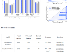 DeepSeek-V4-Flash Screenshot 1